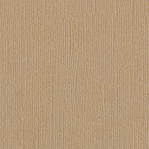 Texturizado beige